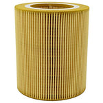 Filter, Air OEM Equivalent